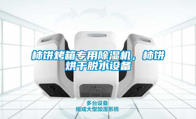 柿餅烤箱專用除濕機(jī),柿餅烘干脫水設(shè)備