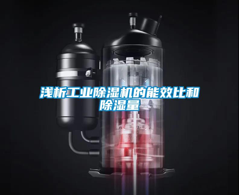 淺析工業(yè)除濕機(jī)的能效比和除濕量