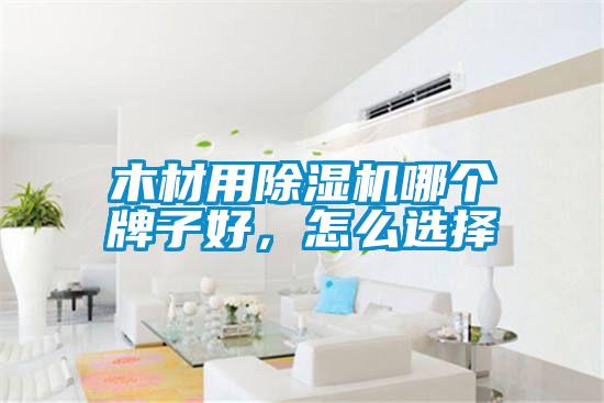 木材用除濕機(jī)哪個牌子好，怎么選擇