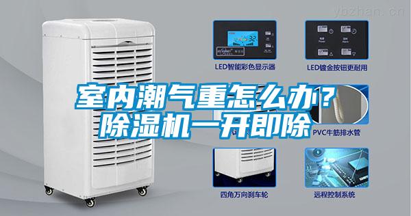 室內潮氣重怎么辦？除濕機一開即除