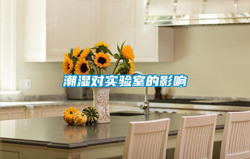 潮濕對實(shí)驗(yàn)室的影響