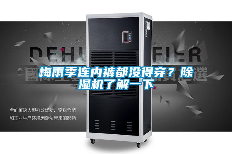 梅雨季連內(nèi)褲都沒得穿？除濕機了解一下