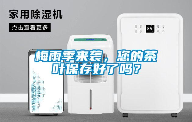 梅雨季來(lái)襲，您的茶葉保存好了嗎？