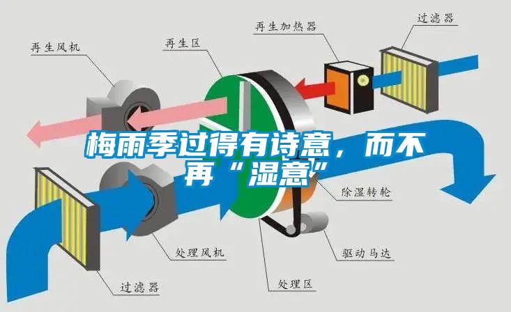 梅雨季過得有詩意，而不再“濕意”