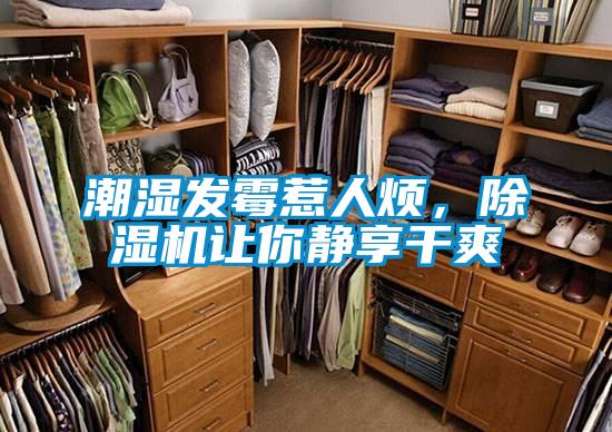 潮濕發(fā)霉惹人煩，除濕機讓你靜享干爽