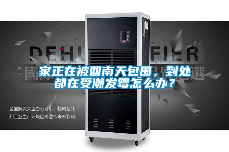 家正在被回南天包圍，到處都在受潮發(fā)霉怎么辦？