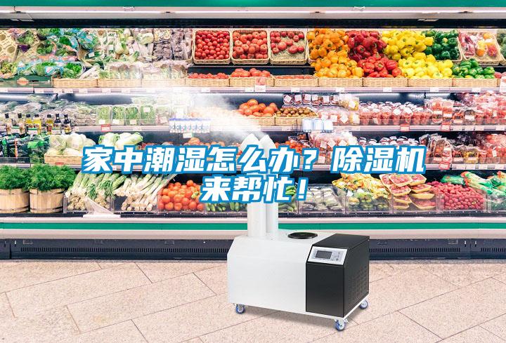 家中潮濕怎么辦？除濕機來幫忙！