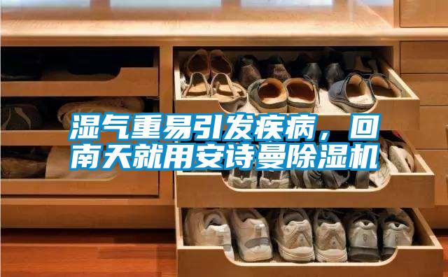 濕氣重易引發(fā)疾病，回南天就用安詩曼除濕機(jī)