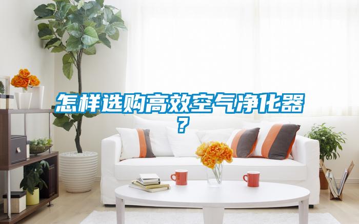 怎樣選購高效空氣凈化器？