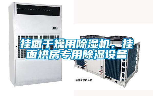 掛面干燥用除濕機，掛面烘房專用除濕設(shè)備