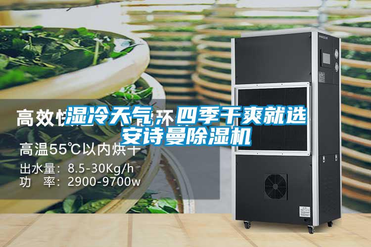 濕冷天氣，四季干爽就選安詩(shī)曼除濕機(jī)