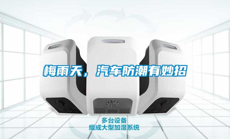 梅雨天，汽車防潮有妙招