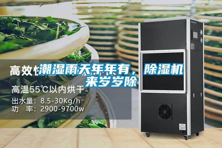 潮濕雨天年年有，除濕機(jī)來(lái)歲歲除