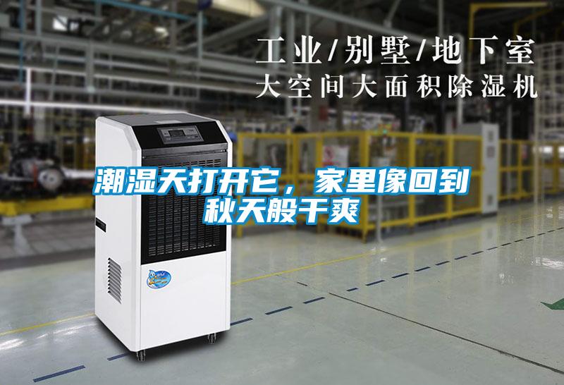 潮濕天打開它，家里像回到秋天般干爽