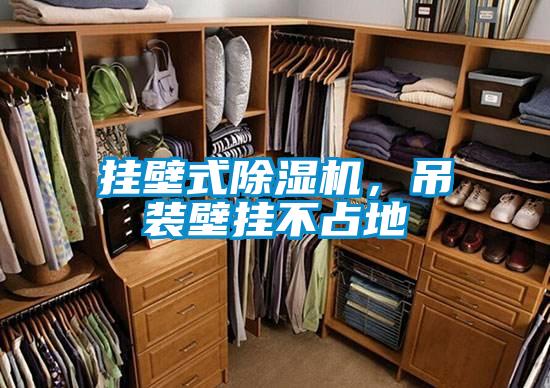 掛壁式除濕機，吊裝壁掛不占地