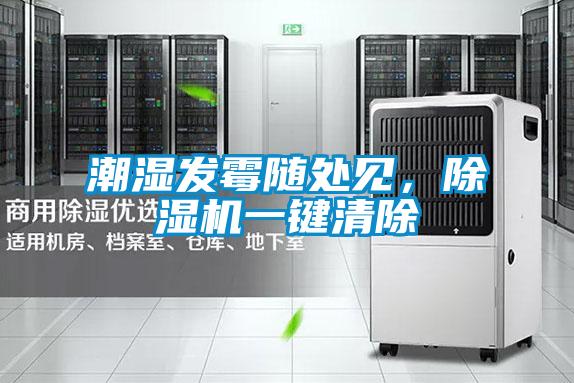 潮濕發(fā)霉隨處見，除濕機一鍵清除