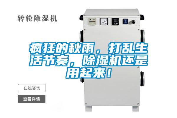 瘋狂的秋雨，打亂生活節(jié)奏，除濕機(jī)還是用起來！