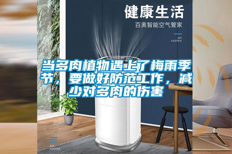 當(dāng)多肉植物遇上了梅雨季節(jié)，要做好防范工作，減少對多肉的傷害