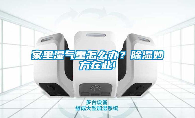 家里濕氣重怎么辦？除濕妙方在此!