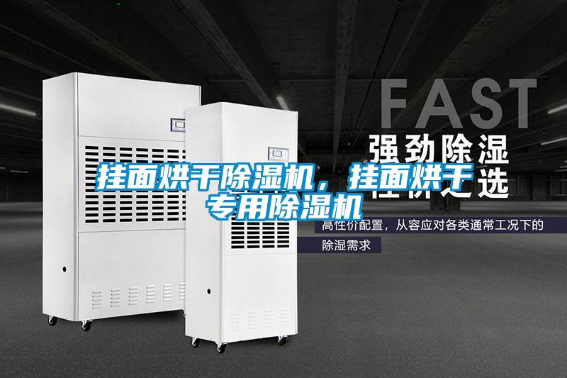 掛面烘干除濕機，掛面烘干專用除濕機