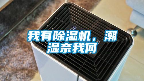 我有除濕機，潮濕奈我何