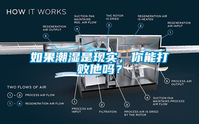 如果潮濕是現(xiàn)實(shí)，你能打敗他嗎？