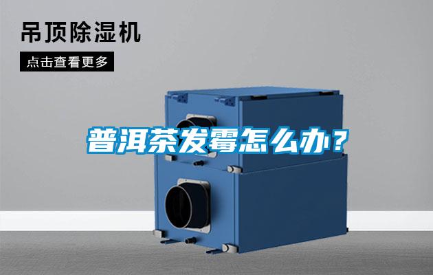 普洱茶發(fā)霉怎么辦?