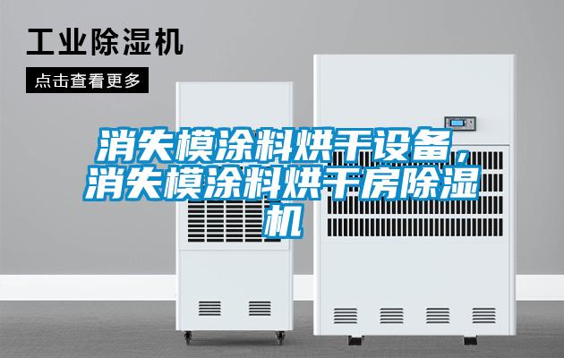 消失模涂料烘干設(shè)備，消失模涂料烘干房除濕機(jī)