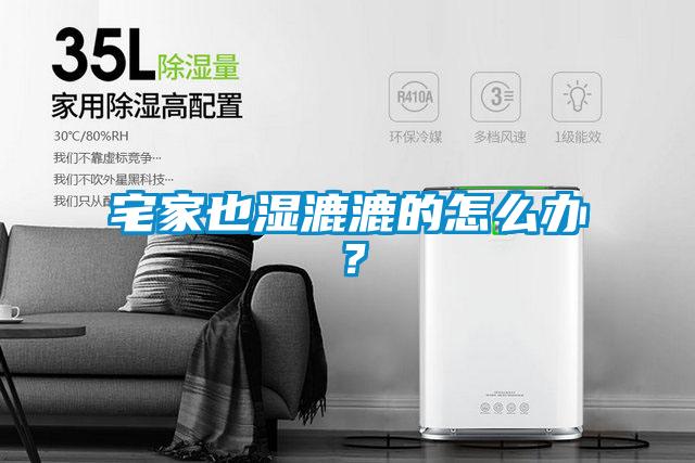 宅家也濕漉漉的怎么辦？