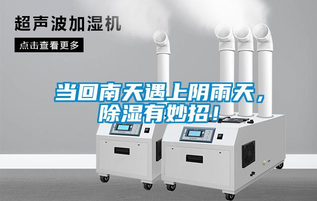 當回南天遇上陰雨天，除濕有妙招！