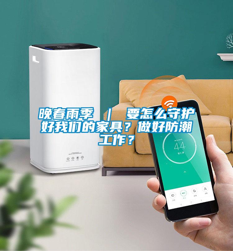 晚春雨季 ｜ 要怎么守護好我們的家具？做好防潮工作？