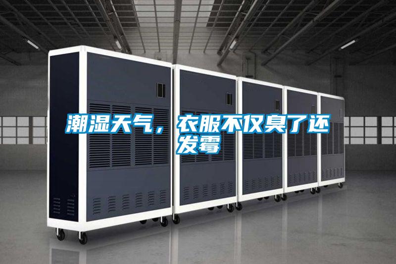 潮濕天氣，衣服不僅臭了還發(fā)霉