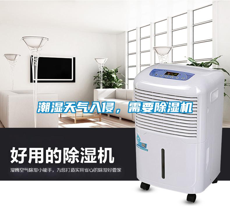 潮濕天氣入侵，需要除濕機