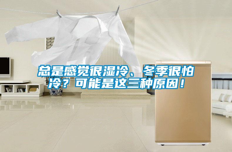 總是感覺很濕冷、冬季很怕冷？可能是這三種原因！