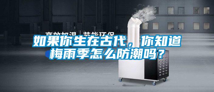 如果你生在古代，你知道梅雨季怎么防潮嗎？