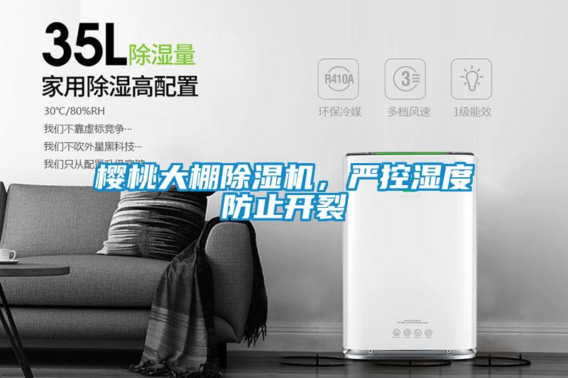 櫻桃大棚除濕機(jī)，嚴(yán)控濕度防止開(kāi)裂