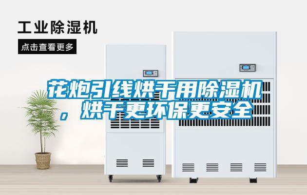 花炮引線烘干用除濕機，烘干更環(huán)保更安全