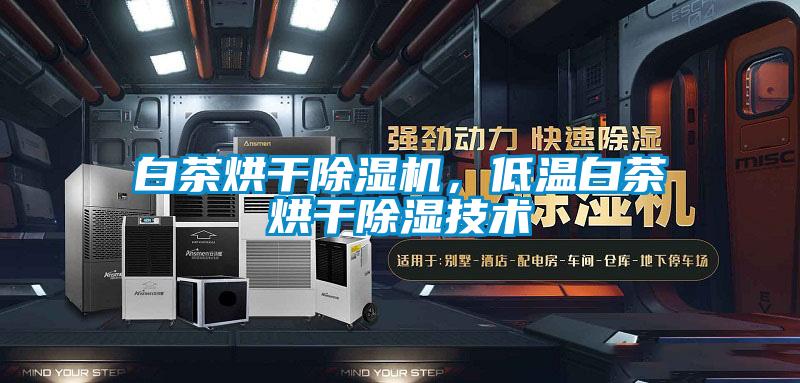 白茶烘干除濕機(jī)，低溫白茶烘干除濕技術(shù)