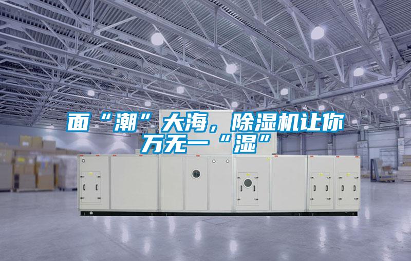 面“潮”大海，除濕機讓你萬無一“濕”