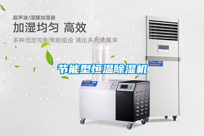 節(jié)能型恒溫除濕機
