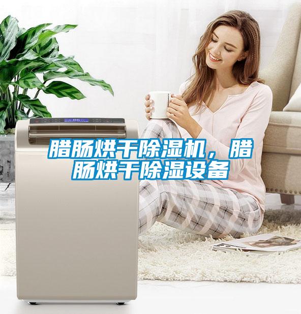 臘腸烘干除濕機，臘腸烘干除濕設(shè)備