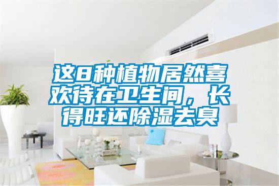 這8種植物居然喜歡待在衛(wèi)生間，長(zhǎng)得旺還除濕去臭