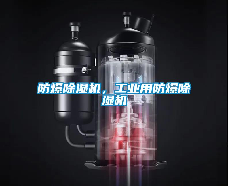 防爆除濕機(jī)，工業(yè)用防爆除濕機(jī)