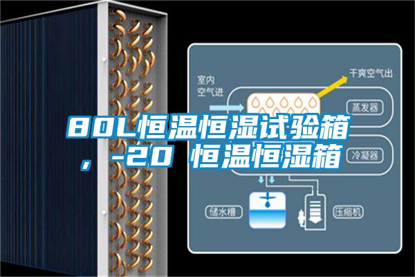 80L恒溫恒濕試驗(yàn)箱，-20℃恒溫恒濕箱