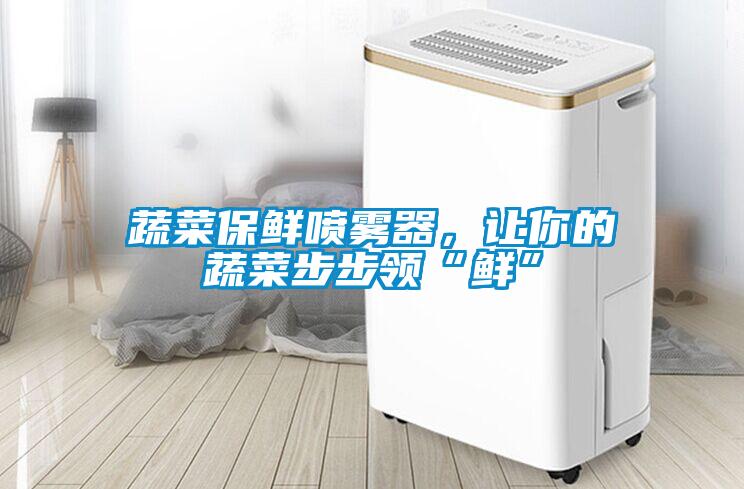 蔬菜保鮮噴霧器，讓你的蔬菜步步領(lǐng)“鮮”