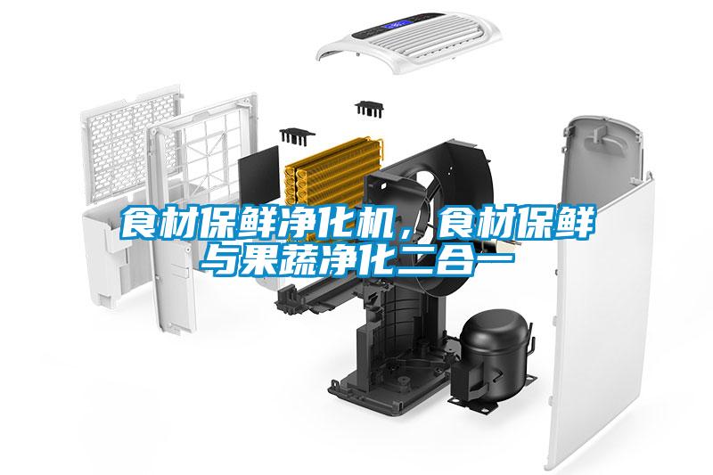 食材保鮮凈化機，食材保鮮與果蔬凈化二合一