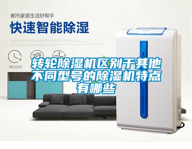 轉輪除濕機區(qū)別于其他不同型號的除濕機特點有哪些