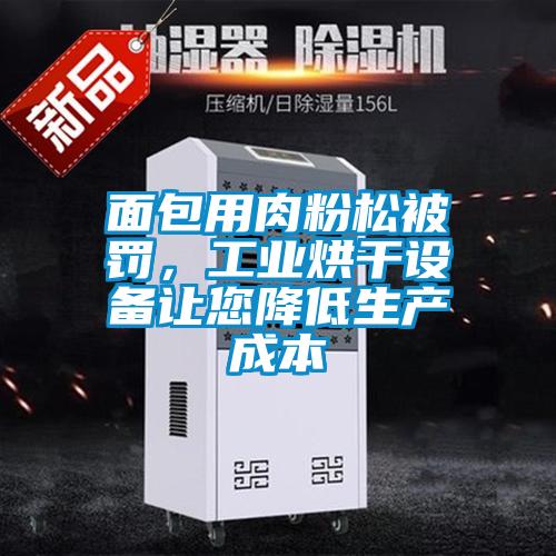 面包用肉粉松被罰，工業(yè)烘干設備讓您降低生產成本