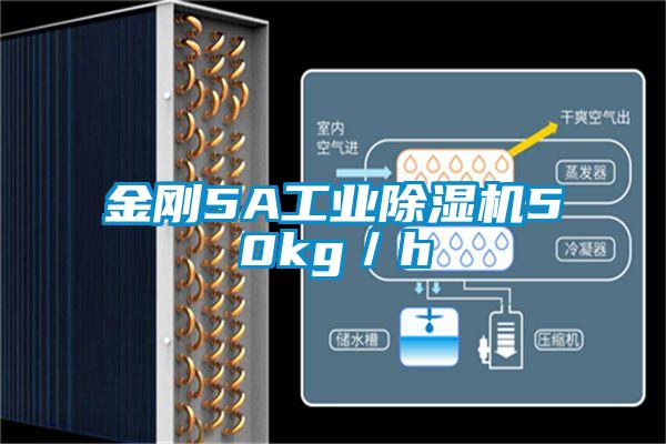 金剛5A工業(yè)除濕機50kg／h