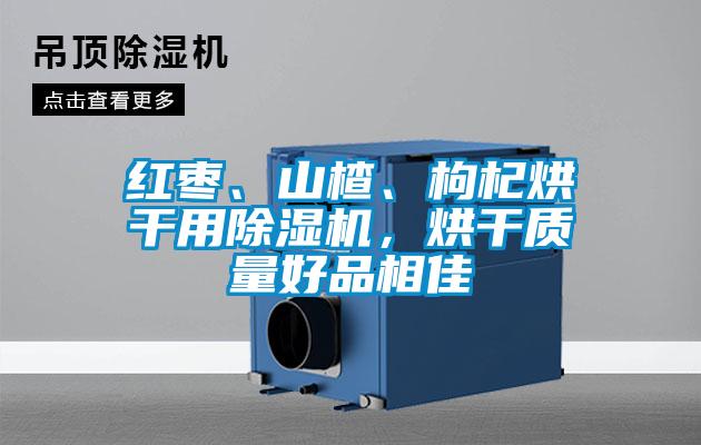 紅棗、山楂、枸杞烘干用除濕機(jī)，烘干質(zhì)量好品相佳